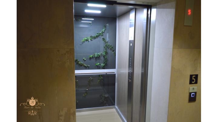 Flori De Iulie Apartamente Brassó Kültér fotó